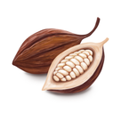 Cocoa Powder